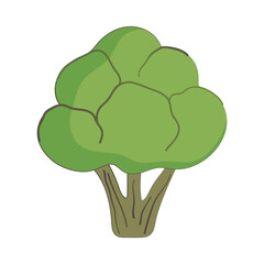 Sticker - broccoli vegetable fresh nutrition healthy food isolated icon design