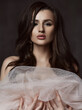 © Dmitry Lobanov - Portrait of sensual brunette woman posing naked covering herself with fata veil transparent cloth
