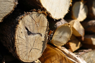 close up of tree trunks. wood texture. torso with annual rings. the wood is prepared for heating. de