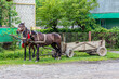 Pferdegespann am Straßenrand in der Ukraine