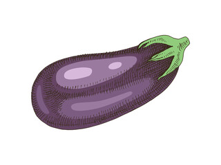 Wall Mural - Hand drawn colorful eggplant