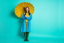 Full Length Photo Of Attractive Lady Good Mood Rainy Weather Walk Street Puddles Hold Big Umbrella Enjoy Nice Day Wear Raincoat Sweater Pants Gumboots Isolated Teal Color Background