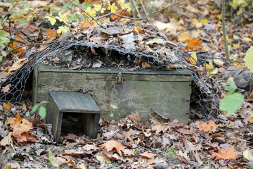 Wooden hedgehog home