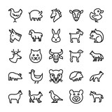 Fototapeta Pokój dzieciecy - 
Animals Line Vector Icons 3
