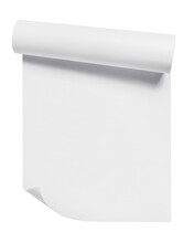 Curled Blank Paper Sheet, Isolated On White Background