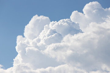 Wall Mural - white cloud and blue sky.