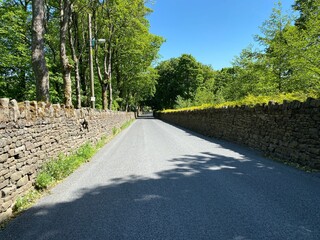 Country lane with dry stone walls, and old trees near, Halifax, Yorkshire, UK