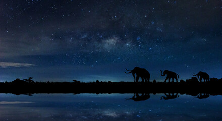 Wall Mural - amazing panorama blue night sky milky way and star on dark background.universe filled with star, neb
