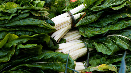 tied up fresh chard leaves in popular market