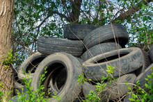 Tires Old Dump In The Forest. Old Tires Pollute The Nature. Environmental Pollution. Ecology Concept.