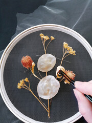 Wall Mural - Handmade Embroidery Dried withered Flowers on mesh 