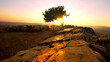 Sun slihouetting single tree from Mount Arbel Israel near the Sea of Galilee.