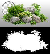 Cutout Rock Surrounded By Flowers.
Garden Design Isolated On Transparent Background Via An Alpha Channel. Flowering Shrub And Green Plants For Landscaping. Decorative Shrub And Flower Bed.