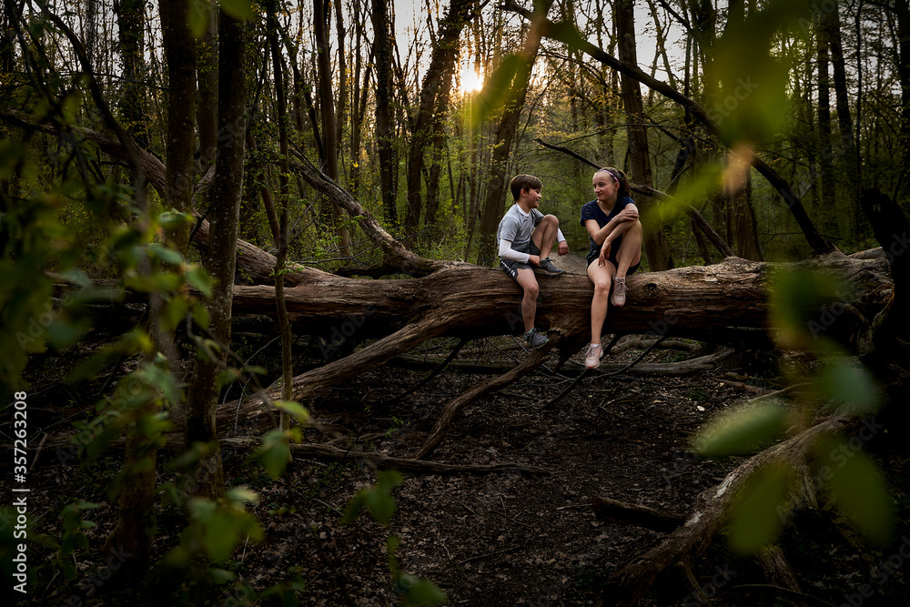 Full length of smiling siblings talking while sitting on fallen tree in ...