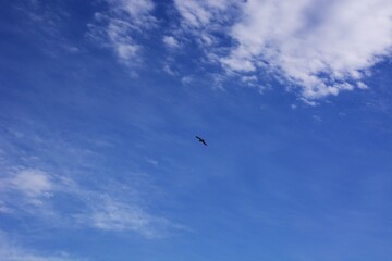 Poster - Background material / Blue sea, blue sky and white clouds.