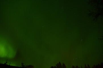 Wall Mural - majestic aurora borealis on autumn star filled night sky