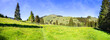 Bavarian .Rest in Germany.Meadow with spring yellow flowers.Summer vacation.Landscape panorama.