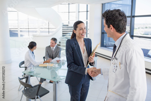 Cuadros en Lienzo Doctor and businesswoman handshaking in meeting