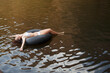 © Sam Edwards/KOTO - Woman floating in inner tube in river
