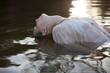 © Sam Edwards/KOTO - Woman leaning head back in river