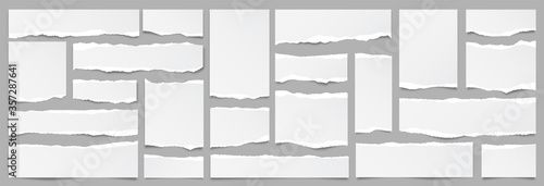 Fotografía White ripped paper strips collection