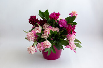 Wall Mural - a bouquet of pink peonies in a pink pot. spring may flowers