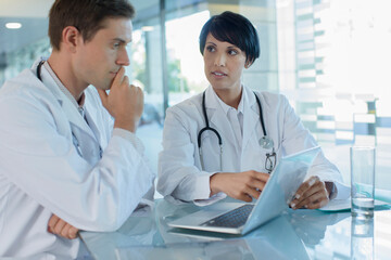 Wall Mural - Female and male doctor using laptop in hospital office