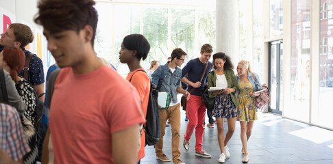 Wall Mural - Group of students walking in corridor with books and talking