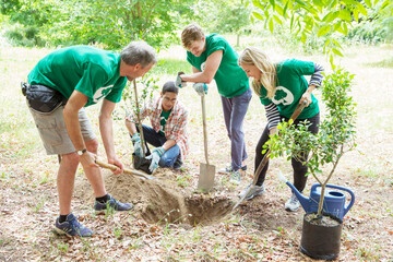 Environmentalist volunteers planting new tree