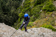 Climber rappelling on forested mountain slope  with the evergreen conifers in a scenic summer landscape view