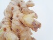 © Mang Kelin - Bitter ginger with white background. Bitter ginger also called Zingiber zerumbet, awapuhi, shampoo ginger, lempuyang and pinecone ginger. Used as food flavoring and appetizers in various cuisines food