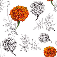 seamless pattern of watercolor and graphic drawing botanical illustration of flowers and branches of marigold