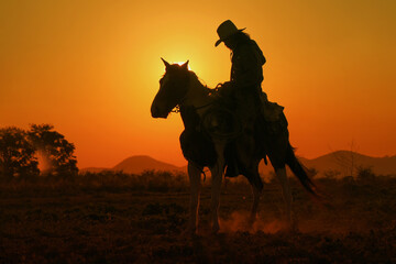 silhouette of a horse and cowboy