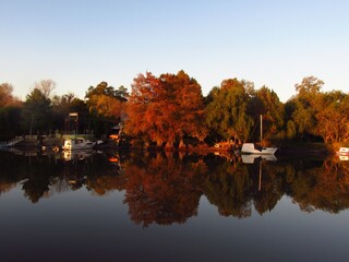 Sticker - Beautiful reflection of trees on a lakeshore during sunset