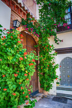 Summer Flower Growing At Home Around An Old Door.
Stock Photo Extremadura, Spain With Blooming Geraniums At Home.