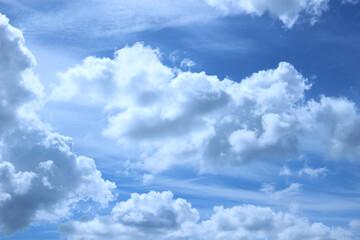 Wall Mural - blue sky with white fluffy clouds