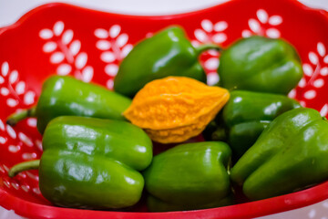 yellow bitter gourd between green capsicum with isolated background, odd one out
