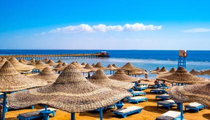 Wall Mural - Wide seaside with lot of sun umbrellas and sunbeds