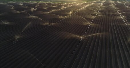 Irrigation Sprinklers in the Field. Watering the Field Aerial view