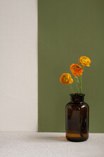 Three Yellow Dried Wildflowers With Long Green Stems Standing In Dark Bottle