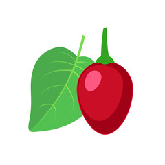 Wall Mural - Tamarillo fruit icon flat design vector illustration