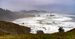 Ecola State park on a rainy winter day with Canon Beach and Haystack Rock in the background.