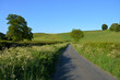 © Josie Elias - Country lane in late spring early on a sunny morning, between Oborne and Poyntington, Sherborne, Dorset, England