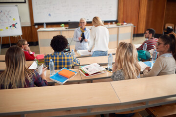 Wall Mural - Professor explaining the lecture to students