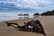 Driftwood and sea stack rocks just north of Canon Beach, Oregon