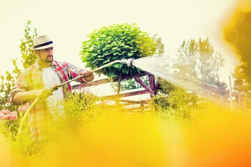 Wall Mural - Gardener working at garden centre