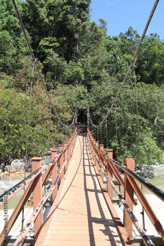 Obrazy most w dżungli  malezja-wyspa-penang-park-narodowy