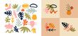 © Dedraw Studio - Big set of abstract organic nature shapes and exotic tropical decoration in trendy matisse inspired art style. Modern summer doodle icons on isolated white background with premade designs.