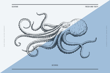 Wall Mural - Hand-drawn image of an octopus on a light background. Ocean animal. Retro picture for the menu of fish restaurants, markets and shops. Vector illustration in vintage engraving style.