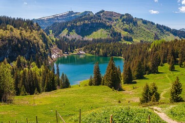 Canvas Print - Lake Lac des Chavonnes in Switzerland surrounded by the mountains and trees